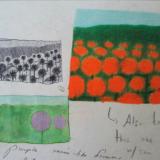 Flower Field Sketches