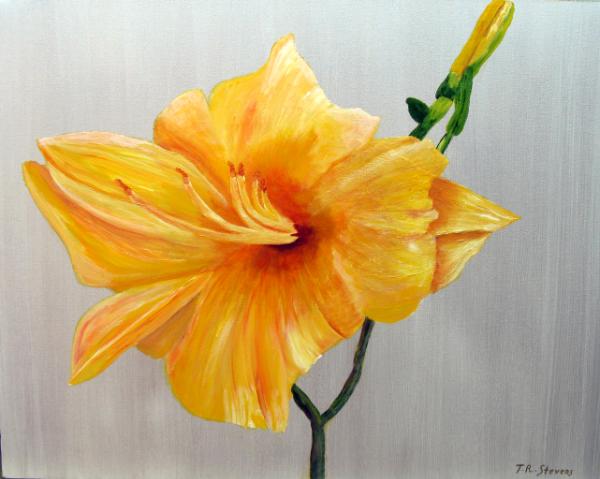 Yellow Day Lily