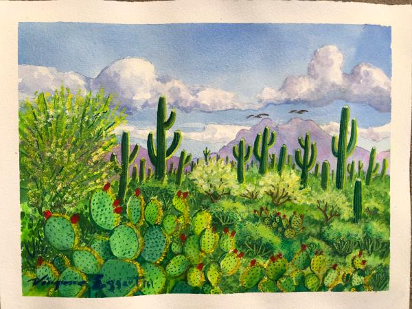 Desert Plants and Saguaros