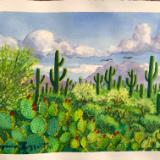 Desert Plants and Saguaros