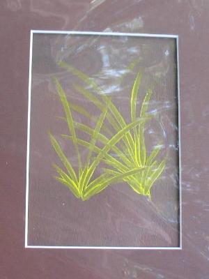 mini 8x10 matted mini 8x10 matted