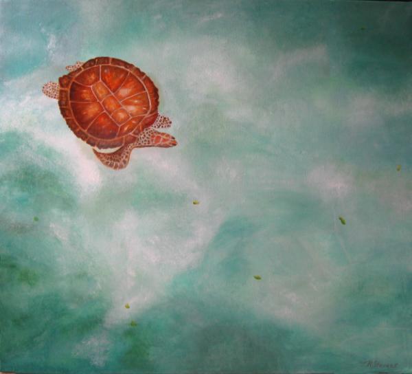 Barbados turtle watch