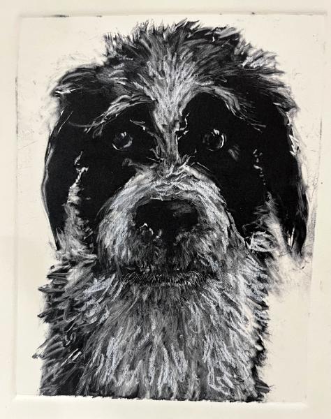 Print your Pet