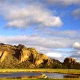 Golden Pond's Reflection