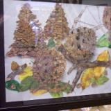 Texas Sweetgum still life  SOLD