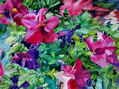 Greenhouse Petunias Greenhouse Petunias