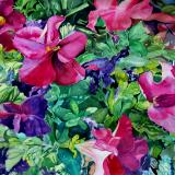 Greenhouse Petunias