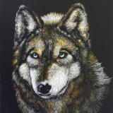 Scratch Boards
