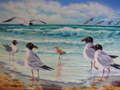 Five Gulls and a Sandpiper