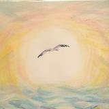 Birds Birds