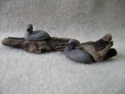 Miniature Loon on Driftwood - sold separately