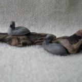 Miniature Loon on Driftwood - sold separately