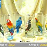 Set of Handpainted glasses: GROUP OF PARAKEETS