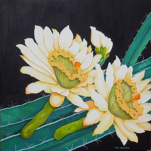 Night Blooming Cactus