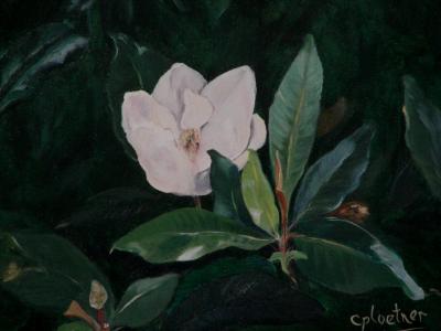 Magnificent Magnolia Magnificent Magnolia