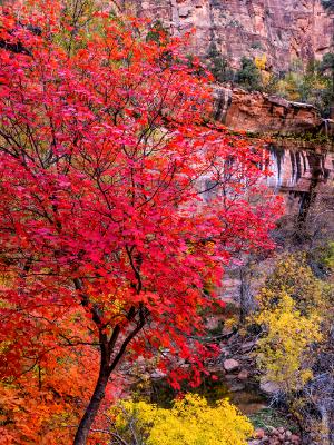 Autumn Color at Emerald Pools Autumn Color at Emerald Pools