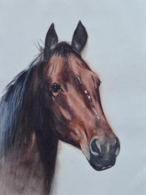 CALINA, 25cm x 35cm, 2017 CALINA, 25cm x 35cm, 2017