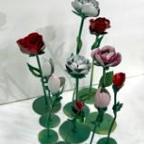 Individual Roses