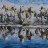 Group of camarge horses,  35cm x 50cm, 2014