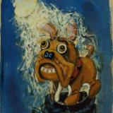 Bull Dog in the Moonlight