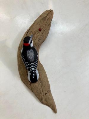 Downy Woodpecker #60