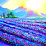 Provence Dawn