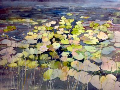 "Water Lilies"