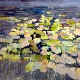 "Water Lilies"