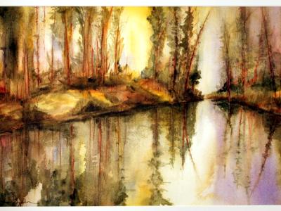 Australia - reflections of wooded dreams Australia - reflections of wooded dreams
