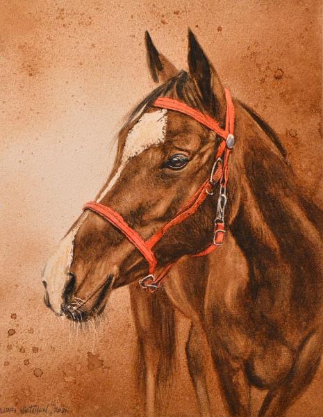 Colt, coffee painting & watercolor, 38cm x 28cm, 2021