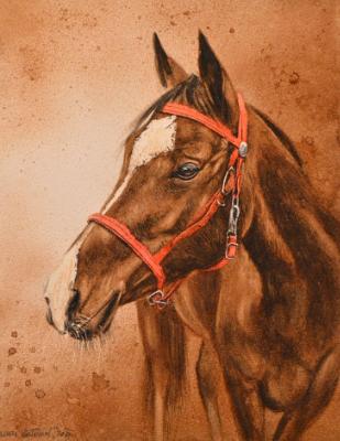Colt, coffee painting & watercolor, 38cm x 28cm, 2021 Colt, coffee painting & watercolor, 38cm x 28cm, 2021