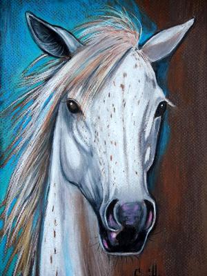 Crazy Horse Crazy Horse