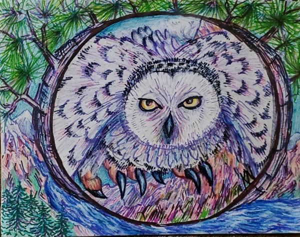 Migrating Snowy Owl