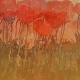 Tulips in the Breeze