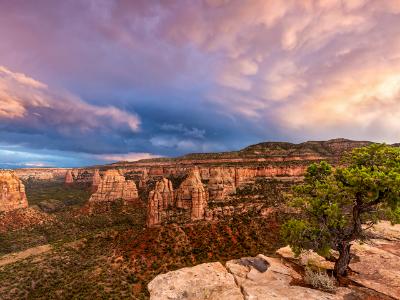 Juniper Ledge Monument Canyon Sunset Juniper Ledge Monument Canyon Sunset
