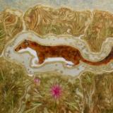 Weasel