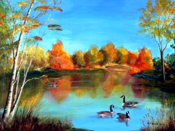 Canada Geese in Autumn