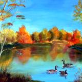 Canada Geese in Autumn