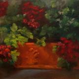 Geraniums Geraniums