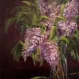Lilacs Lilacs