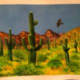 Saguaros with Hawk