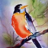 Robin Red Breast ~ Sold