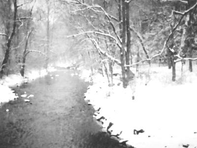 Still Water Still Water