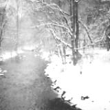 Winters' Creek