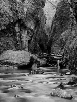 Oneonta Gorge