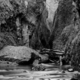 Oneonta Gorge