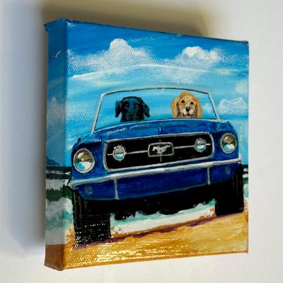 TWO DOGS IN A BLUE MUSTANG 