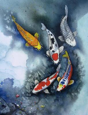 Koi Koi