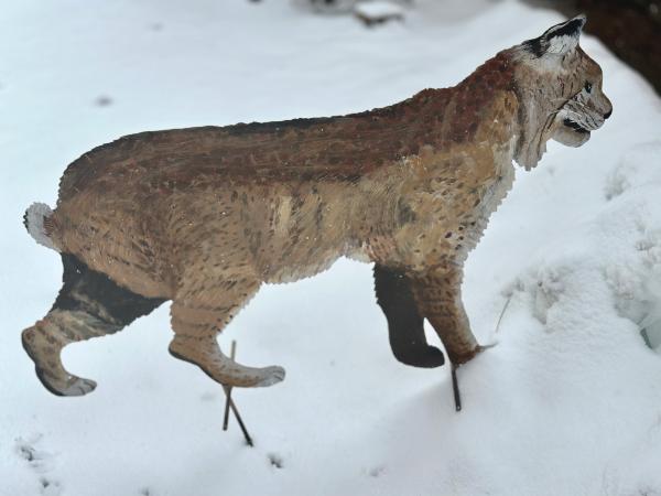 Bobcat 