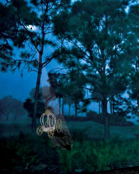 Garden Fantasy - First prize  - Blue Ribbon 2017